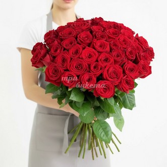 51 красная роза