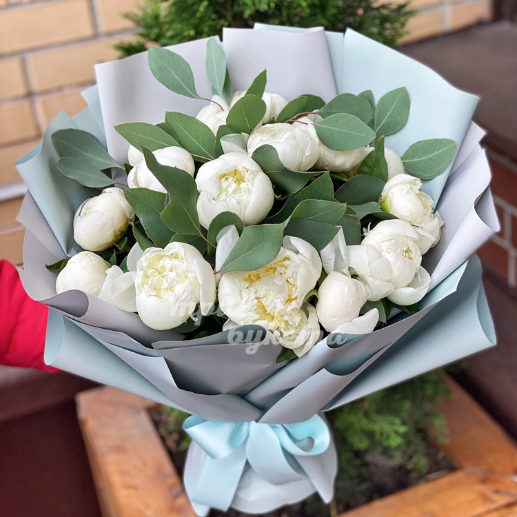 Букет из 15 пионов и эвкалипта (крупный план)