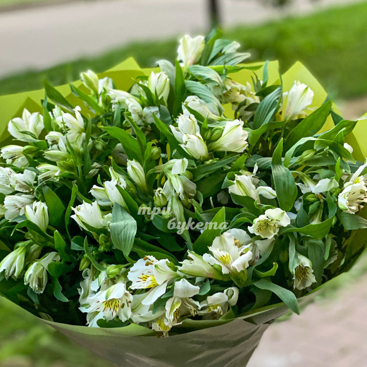 Зеленый букет из белых альстромерий (крупный план)