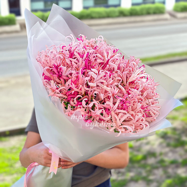 Большой букет розовых нерине (в руках флориста)